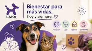 El bienestar de las mascotas va más allá del alimento