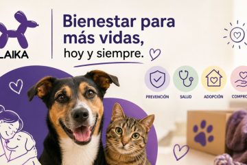 bienestar de las mascotas